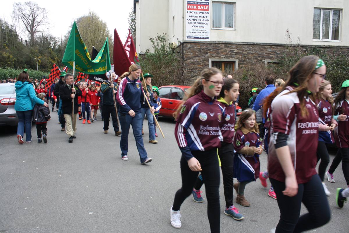 ../Images/St Patrick's Day bunclody 2017 034.jpg